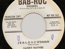 NORTHERN SOUL 45 RPM- CANDY HAYNES - on BAB-ROC RECORDS