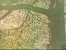 RARE 1970 Yoko Ono PLASTIC ONO BAND Apple mfd. in UK