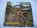 THE WEB 