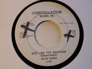 TEFTELLER Soul Nolan Chance Constellation161 WLP M-