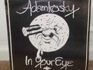 ADAMKOSKY IN YOUR EYE 1973 LP RARE ACID FOLK