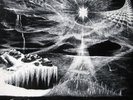 Private Ambient Drone LP NATURE'S DREAM HARP Devaharp
