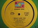 BOOGIE/Common Sense-I Really Love You (LISTEN)