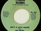  FUNK 45 / LEE FIELDS on LASHAWN 