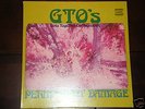 GTO'S -Permanent Damage LP on Straight w/booklet - MINT