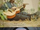 MUDDY WATERS RARE 1st press BRASS & THE BLUES Chess LP