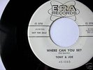 RARE PHIL SPECTOR 45 - TONY AND JOE - WHERE CAN YOU BE?