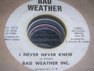 RARE NORTHERN SOUL - BAD WEATHER INC - BAD WEATHER