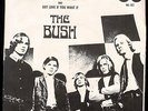 HEAR IT - Garage 45 The BUSH Hiback PS and record M-