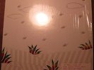 MODALITY STEW - private acid folk psych lp NM shrink