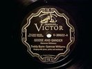 Race Victor V-38602 Bunn & Williams-Washboard Band