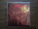 Desultory - Forever Gone MLP 91 / unanimated