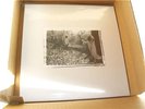 SUNN O))) WHITE BOX SEALED isis neurosis mastodon boris