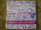 ANIMAL COLLECTIVE 