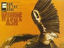 WISHBONE ASH: Raw to the bone  LP Spanish