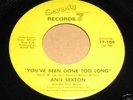 ANN SEXTON You've Been Gone Too Long (77) NORTHERN SOUL