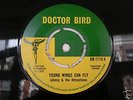 JOHNNY & THE ATTRACTIONS - YOUNG WINGS CAN FLY - DOC B
