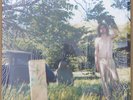Ariel Pink's Haunted Graffiti - The Doldrums LP VINYL