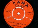 ROCKSTEADY / PAMA / C. ECCLES - WHAT WILL YOUR MAMA SAY