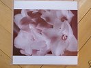 Masonna vs. Bananamara LP '89 merzbow new blockaders