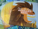 Pedro the Lion Achilles Heel LP sufjan owen lucero GOLD