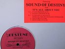 SOUND OF DESTINY-IT'S ALL ABOUT U-ELECTRO FREESTYLE 12