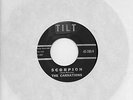 THE CARNATIONS on TILT 45-780  1960s SURF INST.SCORPION