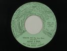 MICKEY & ERNIE northern soul 45 SOUL'IN