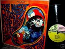 1967 STEREO West Coast Pop Art Band   ONE Garage Psych