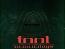 TOOL 10,000 DAYS COLORED VINYL PROMOTIONAL 2 LPs SEALED