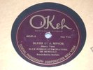 BLUE RIBBON SYNCOPATORS OF BUFFALO OKEH 40349 E-