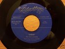Rockabilly 45 - Downbeats - Blue Moon 404