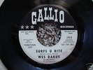 WES DAKUS AND THE REBELS SURFS U RITE/DOG FOOD SURF 45