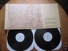 Devendra Banhart Rejoicing In Hands/ Nino  Rojo LP