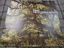 TRAVIS.THE INVISIBLE BAND.UK ORG VINYL LP.N MINT