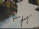 CAT STEVENS   BACK TO EARTH   VERY RARE SIGNED UK LP