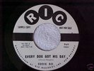 EDDIE BO   EVERY DOG GOT HIS DAY   RIC 969   **PROMO**