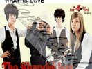 60S BEAT THE SHANGRI-LAS THE LEADER OF THE PACK PIC/SLE