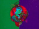 Dave Matthews Band - 
