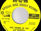 ROY  HAMILTON MGM 13217  Panic is On  RARE N. SOUL VG++