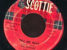 RAL DONNER Tell Me Why 45 Scottie Promo Rockabilly