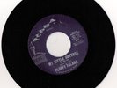 FLUFFY FALANA  N.SOUL 45 