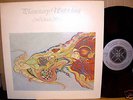 MICHAEL STEARNS - PLANETARY UNFOLDING - CONTINUUM LP -
