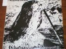 Chauves Pourris Vaterland LP Skinhead Oi RAC French RAR