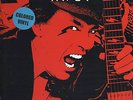    DLP    AC/DC    Oakland 2008 (Swingin Pig)  