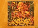 OZ Hip Hop - Celsius LP - 1999