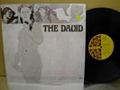 THE DAVID - RARE ORIG 1967 FUZZ  PSYCH  GARAGE  LP NM-