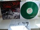 sonic youth  evol - vinyl - insert  green lp -  lyrics