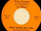 RARE Northern Soul 45 The Passions on Elvitrue A 27916