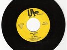 60s Garage Psych The Pages 45 Record Iowa Hear it MN